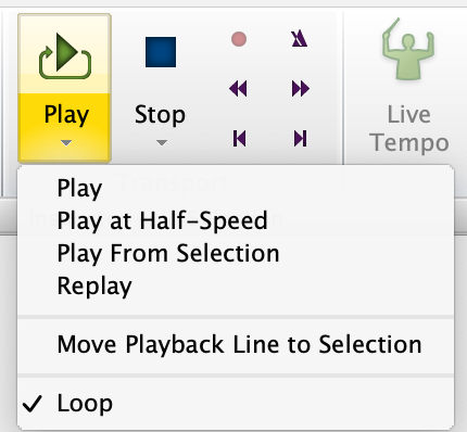 L'icona cambia ed un segno di spunta appare vicino a Loop.